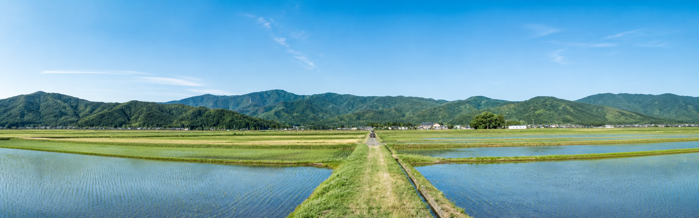 福山近郊の農地